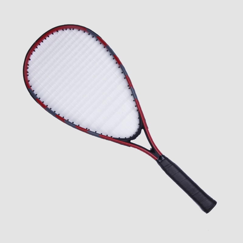 Fast Badminton Racket S-100