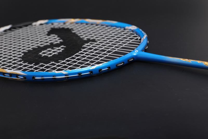 Premium Carbon Badminton Racket Cx-b668 Blue